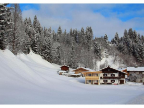 Blick auf den Rettenstein Top 1 und 2 Kirchberg In Tirol
